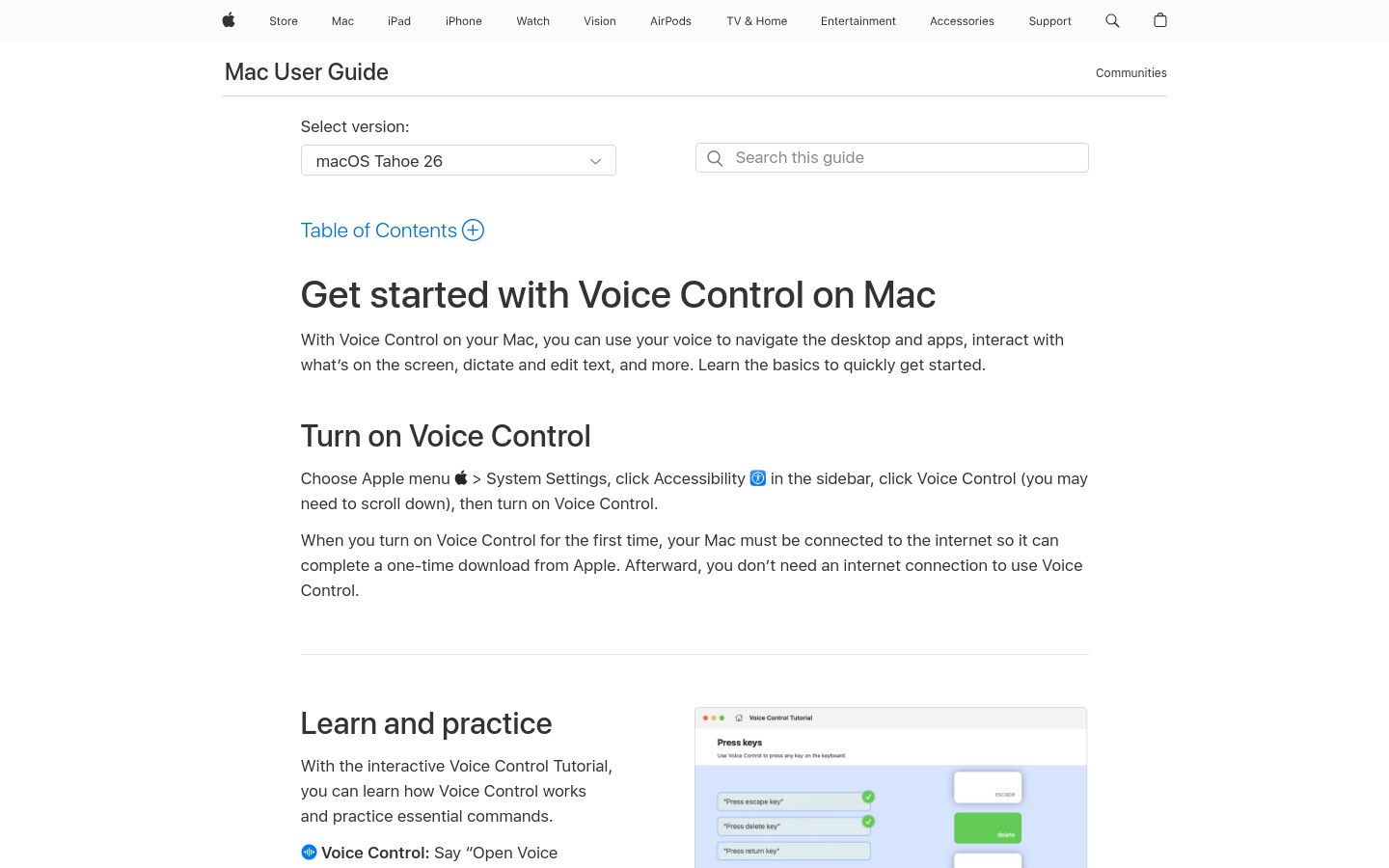 Apple Dictation settings screenshot