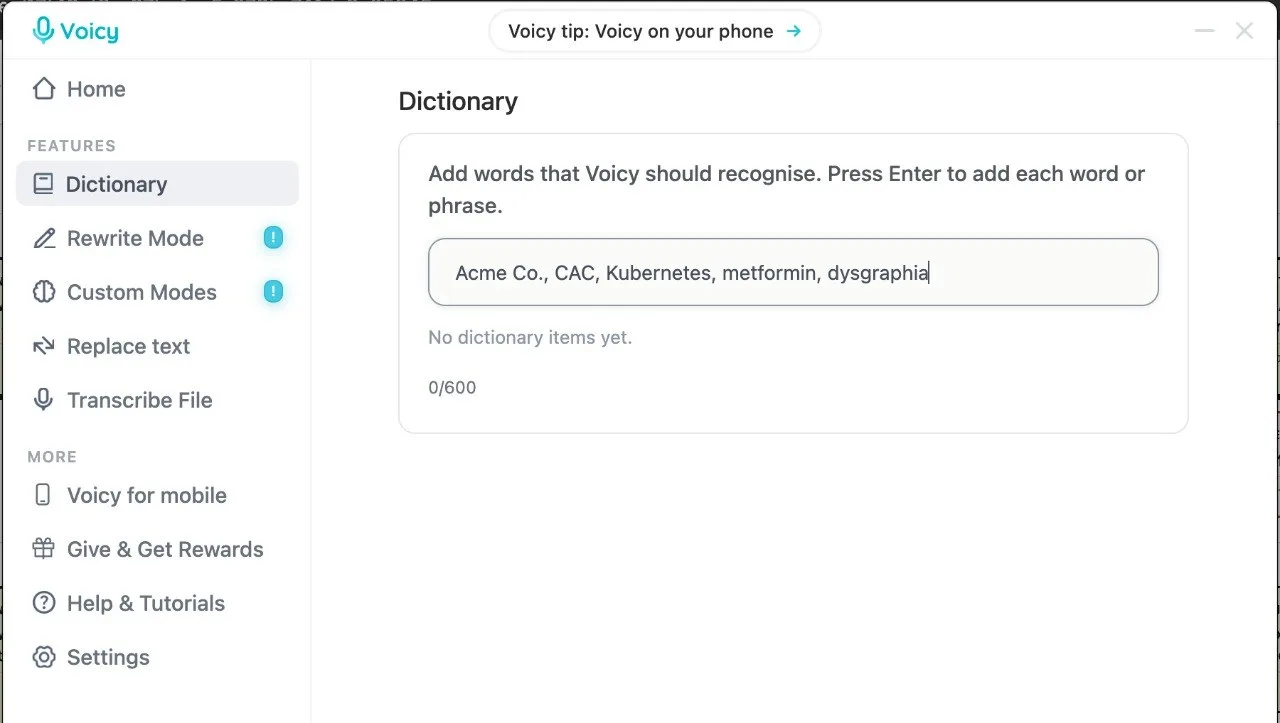 Voicy Dictionary screen with a field for adding names and specialist terms