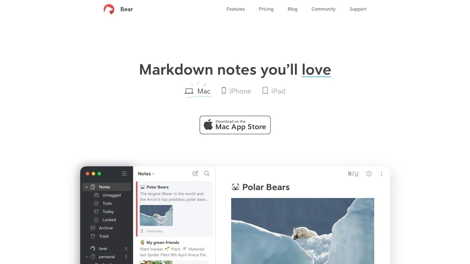 Screenshot of Bear note-taking app homepage. 