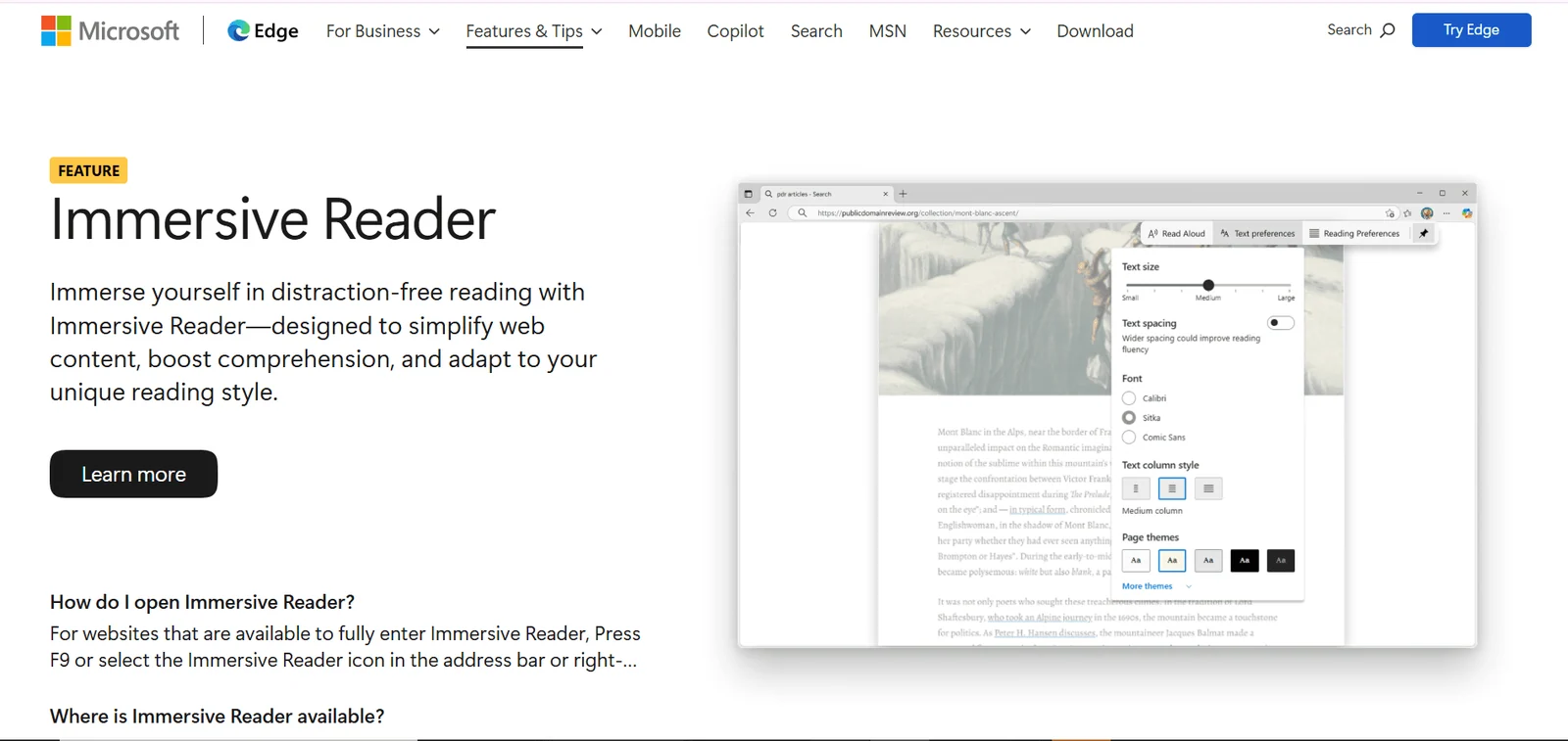 Miscrosoft Immersive Reader