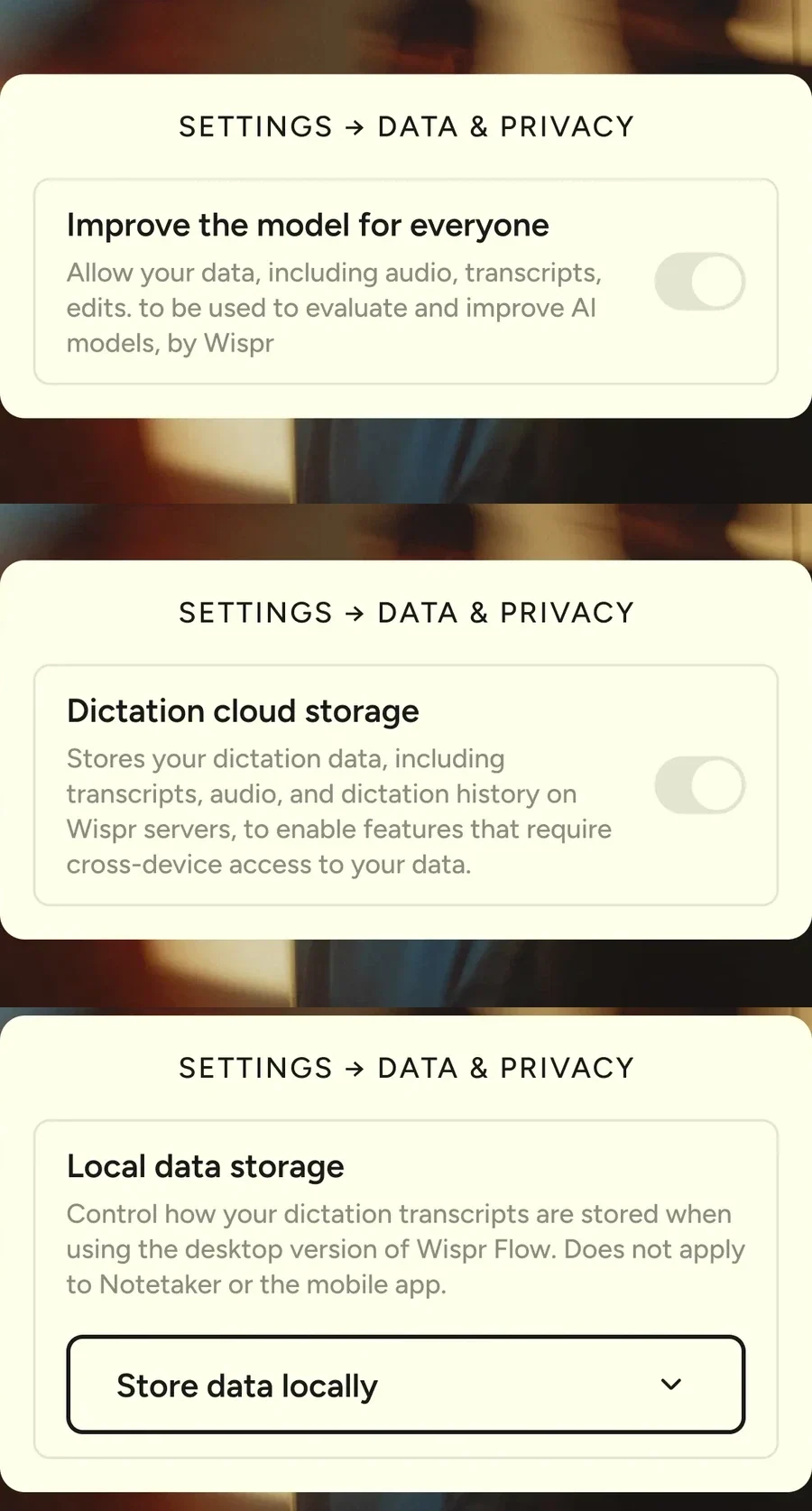 Wispr's illustrations of model-improvement, cloud-storage, and local-history controls